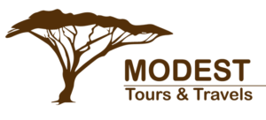 Modest Safaris Logo