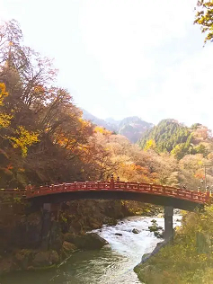 Why You Should Visit Japan in Autumn