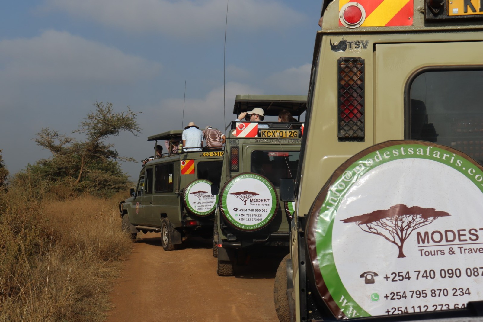 3-Day Tanzania Safari: Tarangire & Ngorongoro Crater