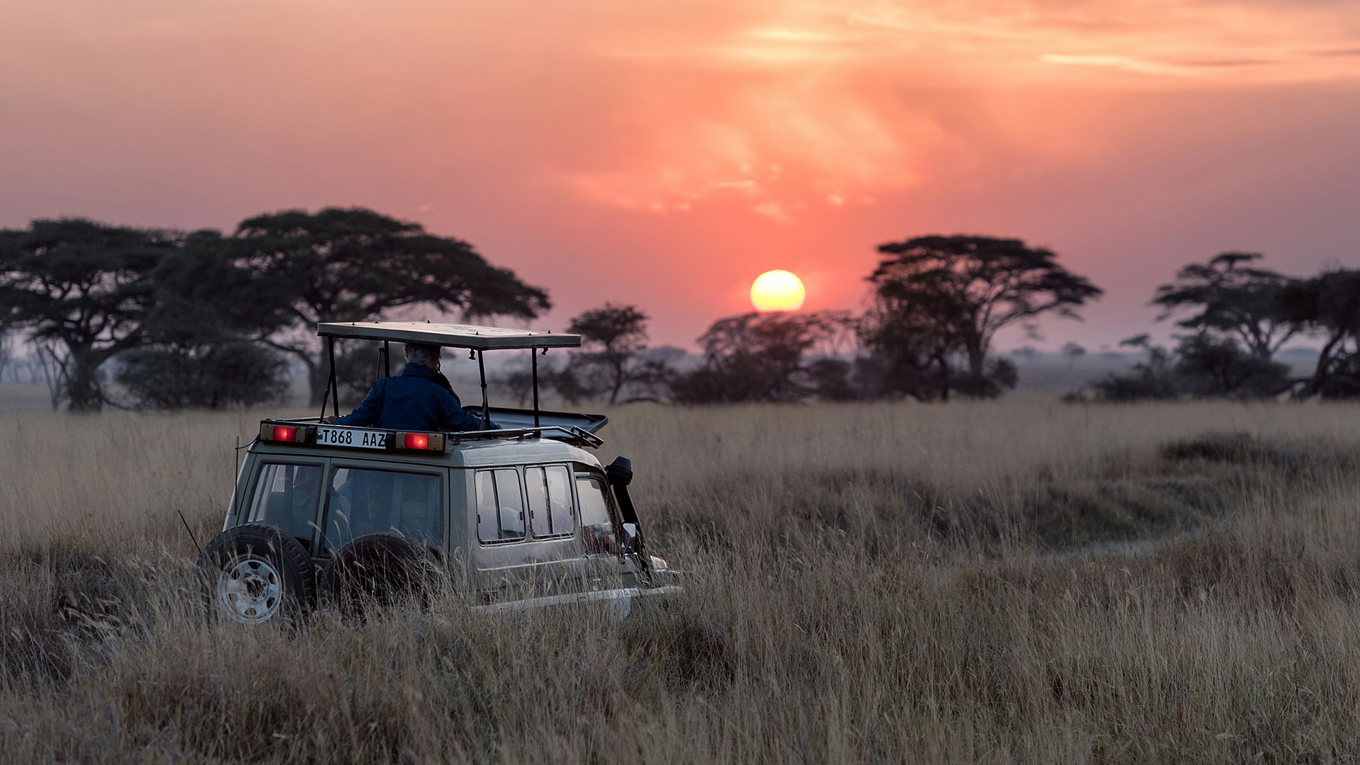 Safari Adventure