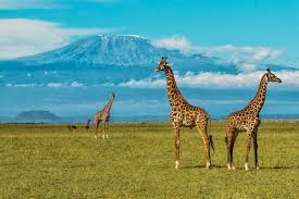 3-Day Chyulu Hills Safari
