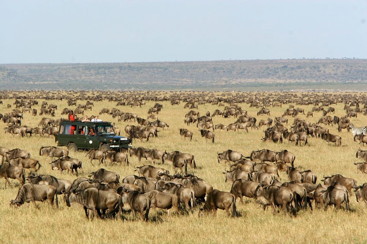 3-Day Maasai Mara Safari